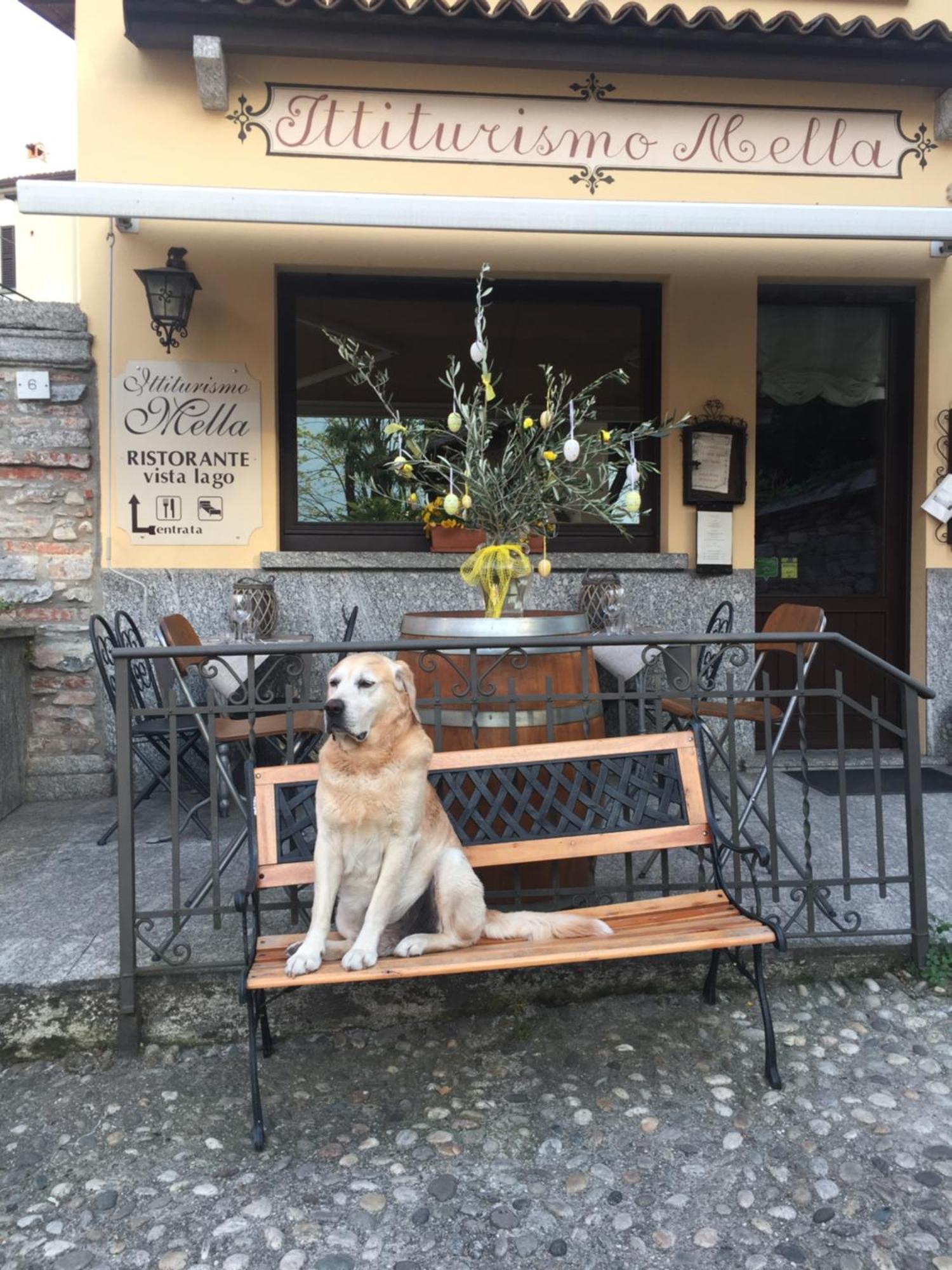 Mella Bellagio -La Corte - At The Lake With Parking Buitenkant foto